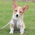 Wholesale Custom Dog Cat Harness And Leash